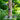 Keep Bird Feeders Clean for Healthy Birds
