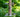 Keep Bird Feeders Clean for Healthy Birds