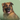 Dogs