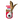Example product image
