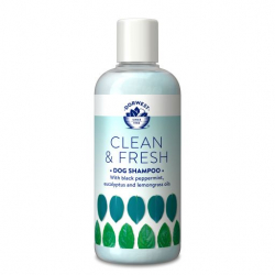 Dorwest Clean & Fresh Shampoo 250ml