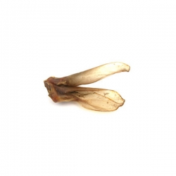 JR Natural Rabbit Ears 100g