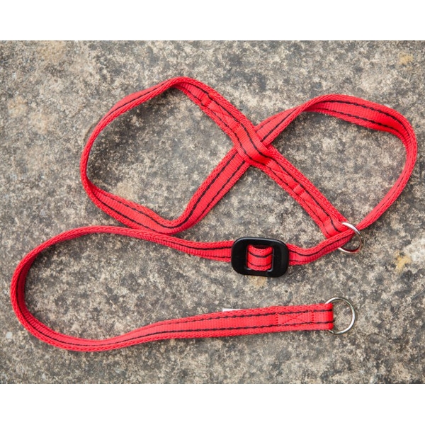 Gencon Head Collar Medium Red with Black Stitching