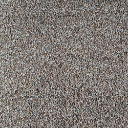 Japanese Millet Seed 12.5kg Johnston & Jeff