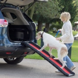 Henry Wag Lightweight Folding Dog Ramp